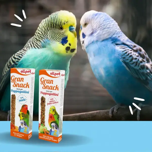 ciopper-biscotti-uccelli..