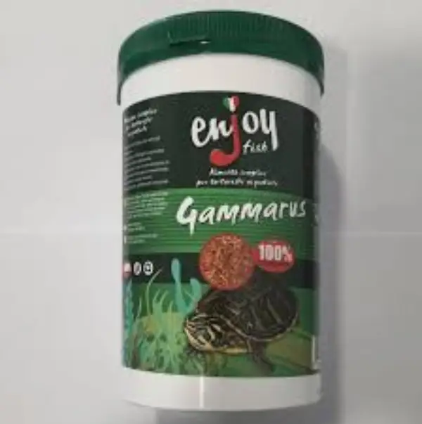 enjoy-gammarus (1)