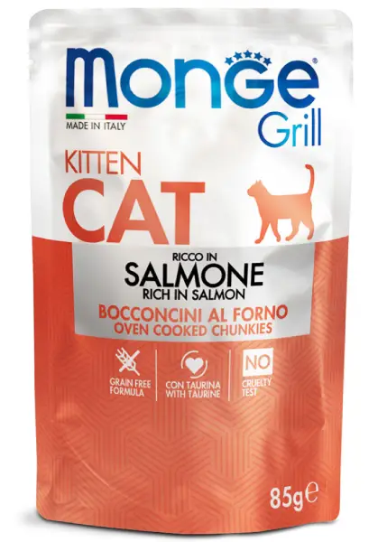 umido-gatto-salmone